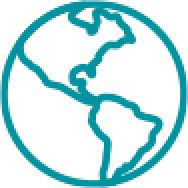 Global in scope section - globe icon